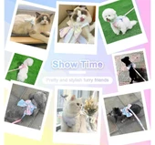 Küçük ve Orta Köpekler İçin Tasma, Küçük Irk Tasma, Köpek Tasması - 5