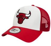 Chicago Bulls 60348855 thumbnail 1