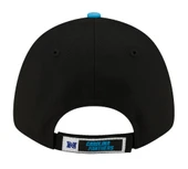 Panthers NFL 60566037 - 3