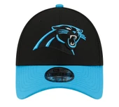 Panthers NFL 60566037 - 2