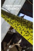 Karasinek Tuzağı Yapışkanlı Bant 15cm*100 Mt - 6