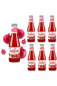 Kızılay Nar Aromalı Maden Suyu 6 Adet 200 ml - 2