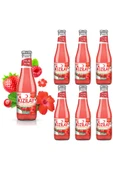 KIZILAY MADEN SUYU DOĞAL KIRMIZI MEYVELER HİBİSKUS AROMALI 200 ML X 6 ADET - 1