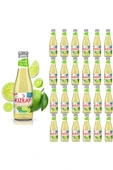 KIZILAY MADEN SUYU DOĞAL COOL LİME MİSKET LİMONU VE NANE AROMALI 200 ML X 24 ADET - 1