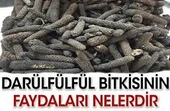Darül Fülfül Bitki Çayı 2 Fincan Poşet thumbnail 2