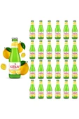 KIZILAY MADEN SUYU DOĞAL LİMON AROMALI 200 ML X 24 ADET - 1