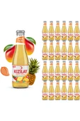 KIZILAY MADEN SUYU DOĞAL MANGO ANANAS AROMALI 200 ml X 24 ADET - 1