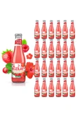 KIZILAY MADEN SUYU DOĞAL KIRMIZI MEYVELER HİBİSKUS AROMALI 200 ML X 24 ADET - 1