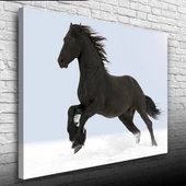 Karlar Üzerin Siyah At Fotoğrafı Kanvas Tablo 50 x 70 thumbnail 3