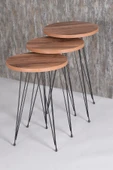 Orta Sehpa Ve Zigon Sehpa Ceviz Set Tel Ayak Elips - 4