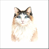 Sevimli kedi Sticker 2 thumbnail 1