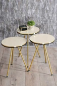 Zigon Sehpa Ve Orta Sehpa Kr Set Çift Gold Krem Metal - 4