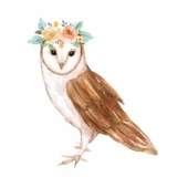 Çiçek Taçlı Baykuş Duvar Stickerı thumbnail 1