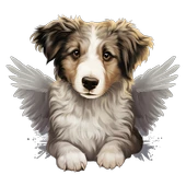 Yatan Kanatlı Köpek Yavrusu Duvar Stickerı thumbnail 2