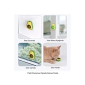 Avokado Kedi Nanesi Cat Mint Oyun Topu - 1