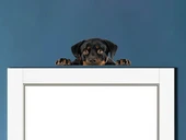 Kahverengi Kaniş Duvar Stickerı thumbnail 1