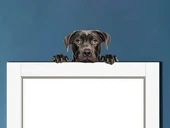 Siyah Cane Corso Köpek Duvar Sticker'ı thumbnail 1