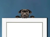 Siyah Cane Corso Köpek Duvar Sticker'ı thumbnail 1