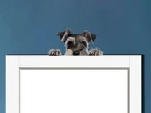 Siyah ve Bronz Köpek Duvar Stickerı thumbnail 1