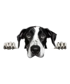 Siyah Beyaz Büyük Dane Köpek Duvar Sticker'ı thumbnail 2