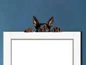 Yorkshire Terrier Duvar Stickerı thumbnail 1