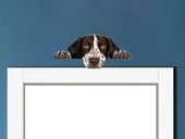 Kahverengi Beyaz Benekli Kısa Tüylü Pointer Köpek Duvar Sticker'ı thumbnail 1