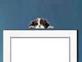 Beyaz Kaniş Duvar Stickerı thumbnail 1