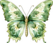 Desenli Yeşil Kelebek Duvar Stickerı thumbnail 2