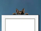 Alman Kurdu Köpek Duvar Sticker'ı thumbnail 1