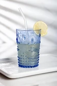 Akrilik Mavi Tekli Kısa Bardak & Su Meşrubat Kahve Yanı Bardağı 400 ml ( Cam Değildir ) - 1
