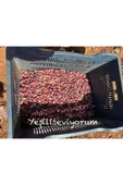 antepistachios Kuru Kırmızı Çiğ Kabuklu En Lezzetli Ağaç Altı Antep Fıstığı 1 Kilogram Eylül 2024 - 6