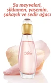 Celebre Kadın Parfüm Edt 50 Ml. - 2