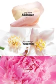 Celebre Kadın Parfüm Edt 50 Ml. - 3