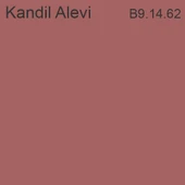 Marshall Akrikor Elastomerik Boya Kandil Alevi 15 Lt (20 Kg) - 2