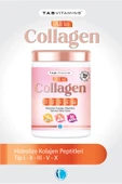 All in Collagen 30 Servis Aromasız Hidrolize Kolajen Peptitleri Tip 1 Tip 2 Tip 3 Tip 5 Tip 10 - 1