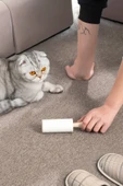 Porsima 3104 Kedi Köpek Tüy Toplayıcı Rulo 4 Adet Yedek Rulo Krem - 4