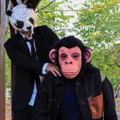 Siyah Saçlı Kafaya Tam Geçmeli Lateks Şempanze Maskesi - Lateks Maymun Orangutan Goril Maske Et Maske thumbnail 5