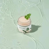 ROUND LAB - Mugwort Calming Cream (Yatıştırıcı Krem)(GLOBALCARE) - 3