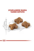 Kitten Kedi Kuru Maması 4 Kg - 3