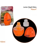 Astraled 100 ml Kavanoz Oda ve Oto Kokusu Kavun - 2
