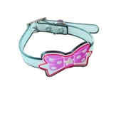 Silikon KediTasması - 1