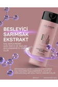 Lilamor Sarımsaklı Şampuan Saç Dökülmesine Karşı Hızlı Sac Uzatan Onarıcı Besleyici 400ml - 2