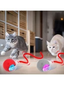 Yeni Nesil Akıllı Hareketli Şarjlı Kedi Köpek Oyuncağı(GRİ) - 1