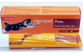 candioli Candıolı Vigorpet Pasta Kediler Için Tamamlayıcı Yem 50 gr - 1