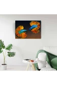 Beta Balıkları Canvas Tablo (50x70) - 6
