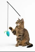 Ses Çıkaran Peluş Fareli Kedi Oltası - 2