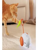 Yeni Nesil Şarjlı Otomatik Hareketli Tüylü Araba - 4