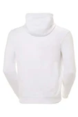 Helly Hansen Hh Logo Hoodıe Sweatshirt - 2