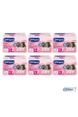 CANPED Ultra Mesane Pedi Yoğun - L - 60 Adet - 1