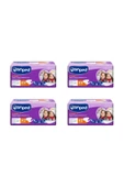 CANPED Extra Small Xs Hasta Bezi 120 Adet - 1